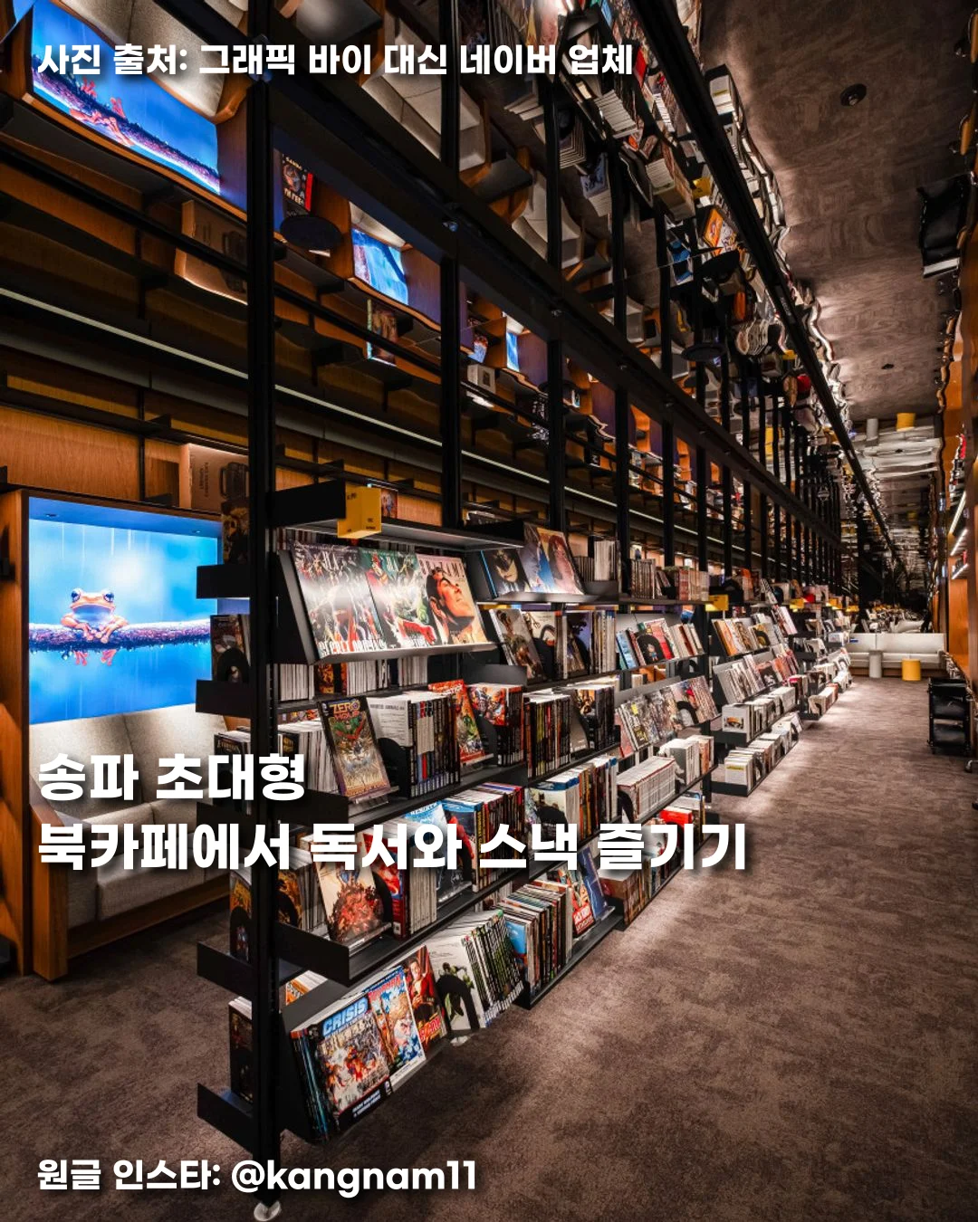 송파 초대형 북카페에서 독서와 스낵 즐기기