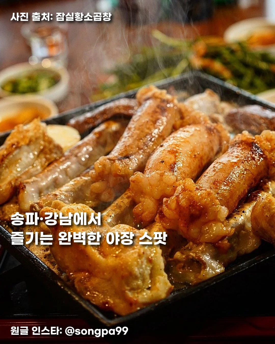 송파·강남에서 즐기는 완벽한 야장 스팟 썸네일