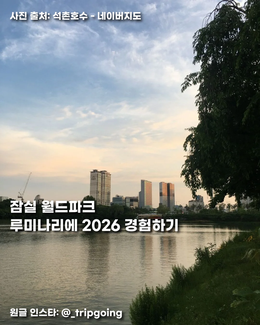 잠실 월드파크 루미나리에 2026 경험하기
