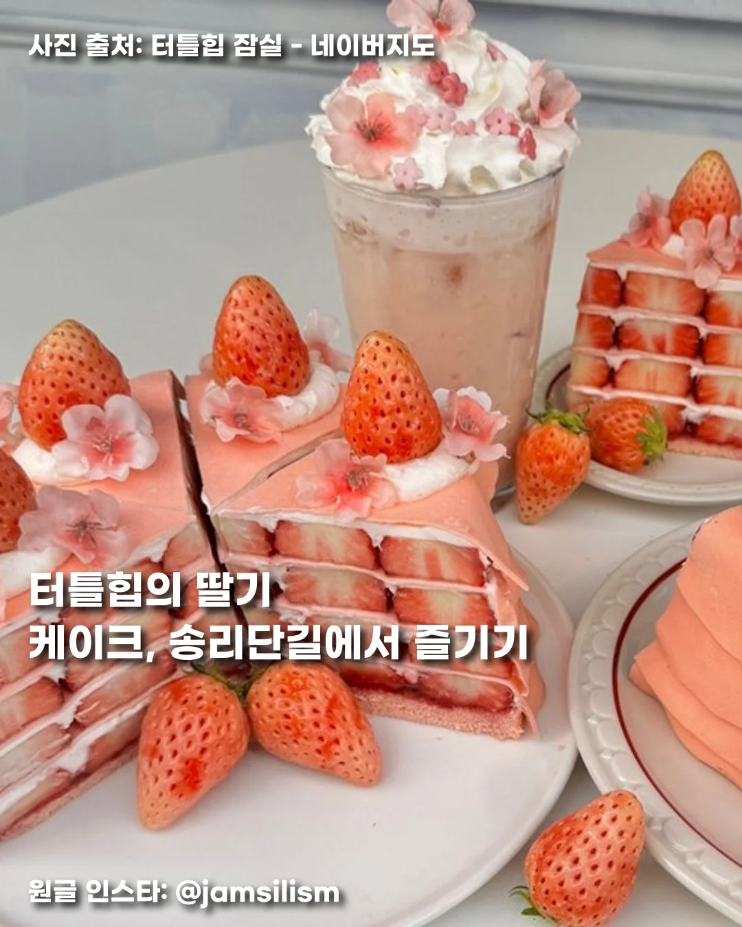 터틀힙의 딸기 케이크, 송리단길에서 즐기기 썸네일