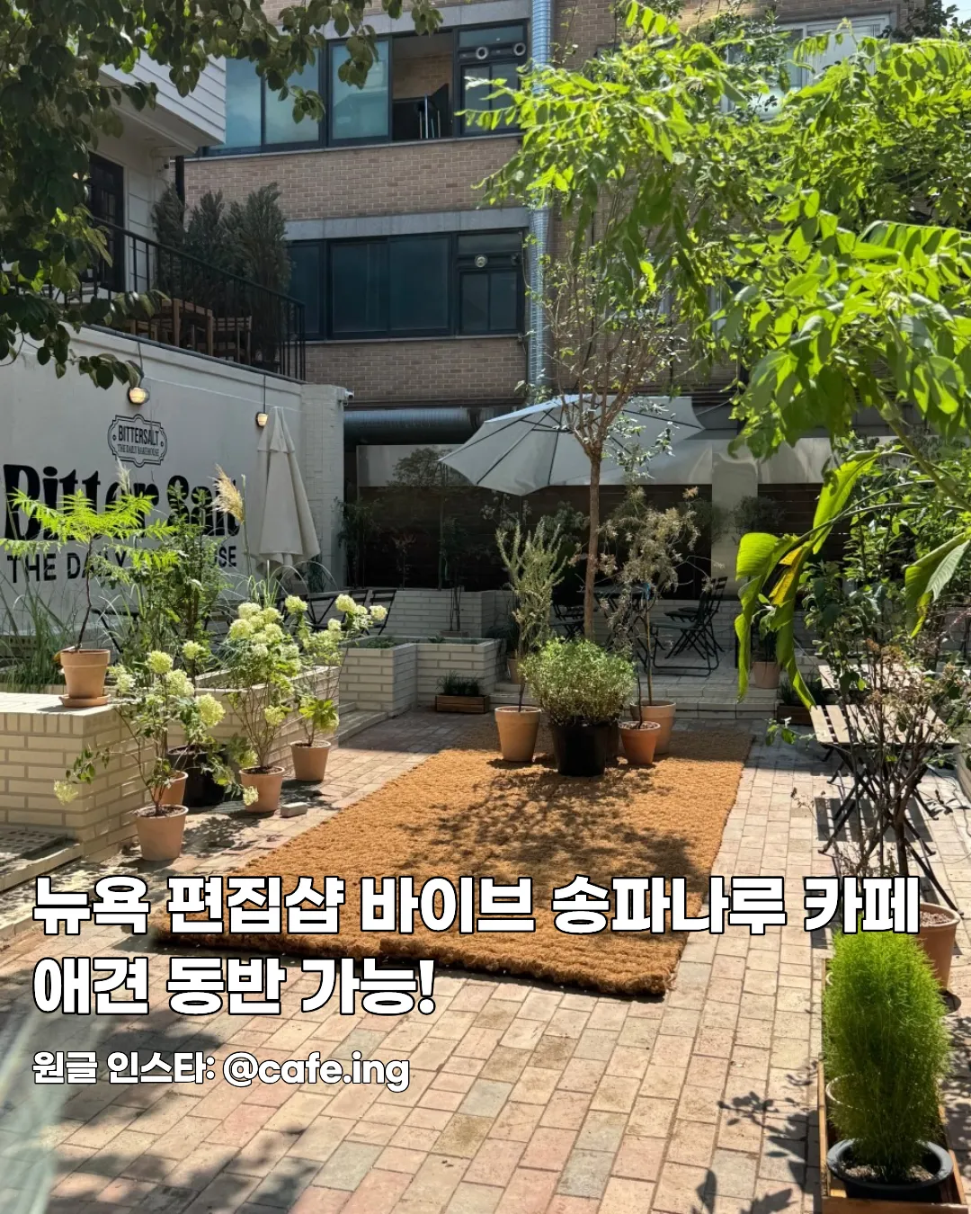 송파나루 감성 신상카페 ‘비터솔트’ — 롯데타워 뷰 치아바타 맛집, 반려동물 동반 가능 썸네일