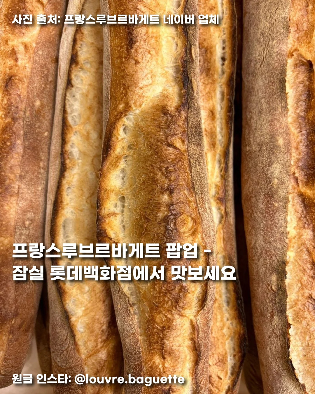 프랑스루브르바게트 팝업 - 잠실 롯데백화점에서 맛보세요 썸네일