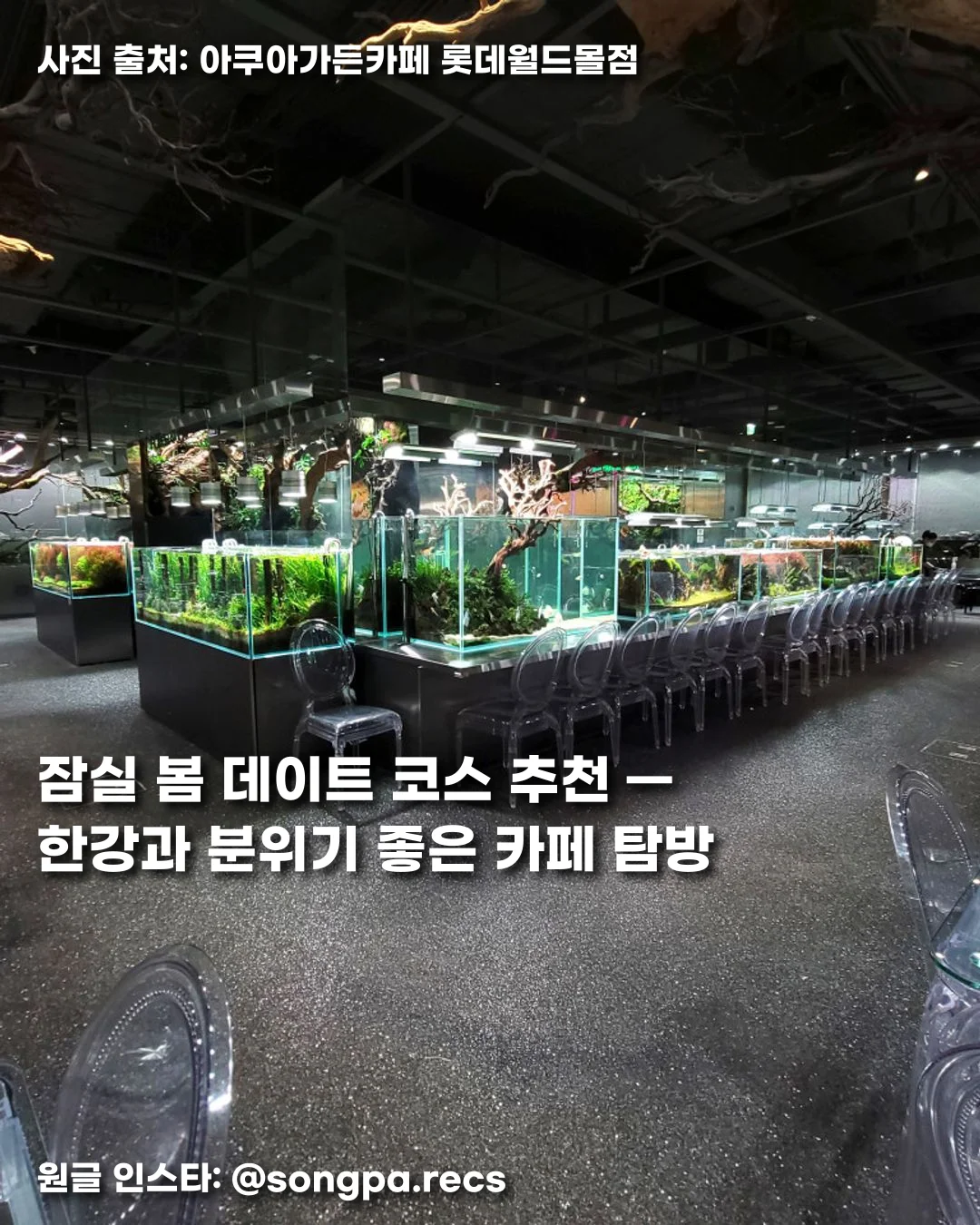 잠실 봄 데이트 코스 추천 — 한강과 분위기 좋은 카페 탐방 썸네일