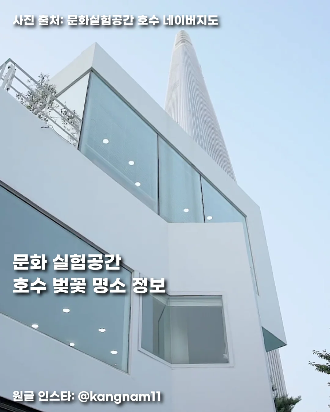 문화 실험공간 호수 벚꽃 명소 정보 썸네일