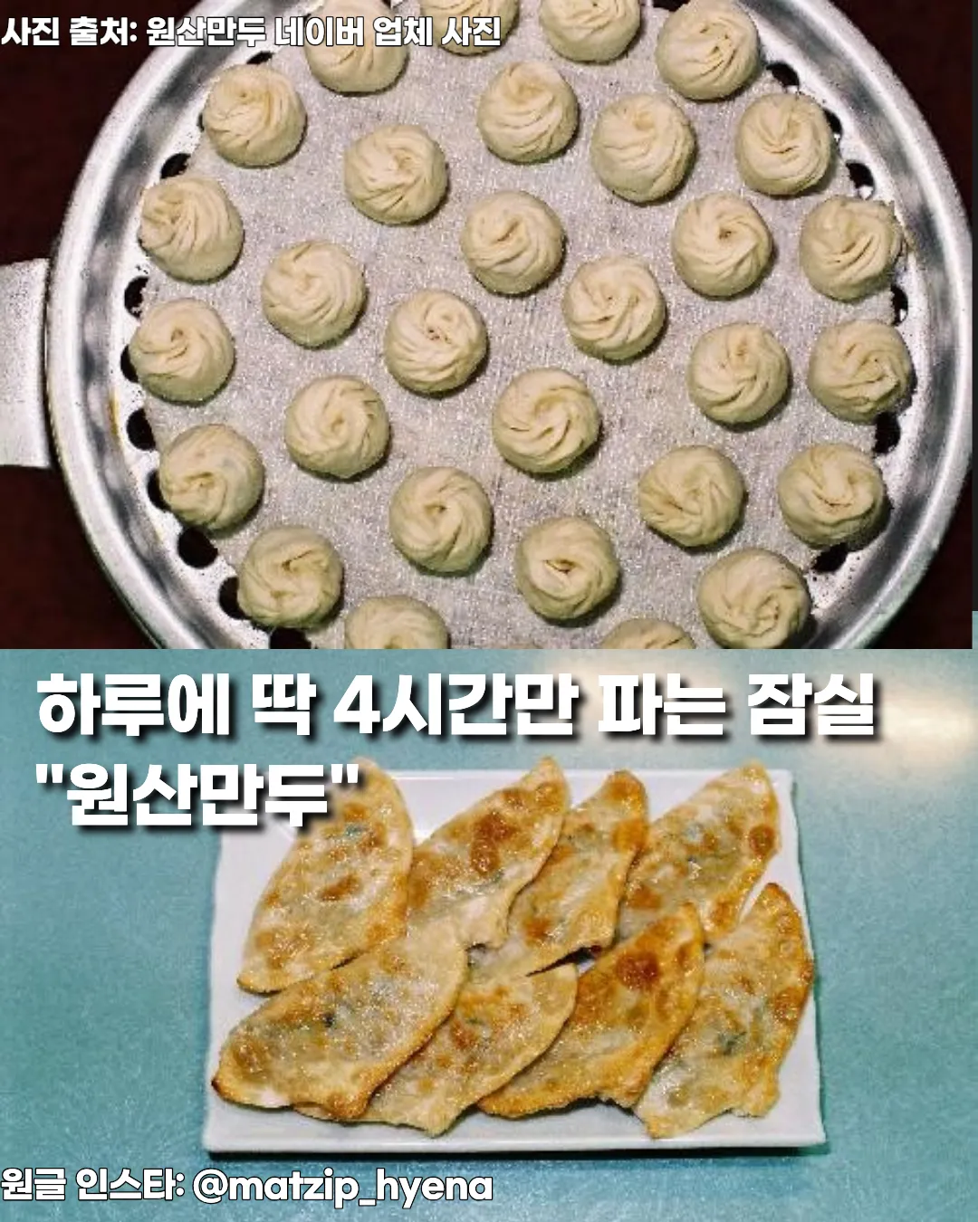 잠실 송파나루 ‘원산만두’ — 하루 4시간만 여는 장미만두·군만두·칼국수 맛집 썸네일